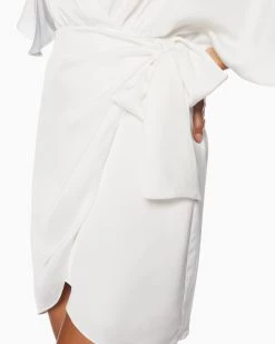 Ramy Brook Shop All Alexis Wrap Mini Dress