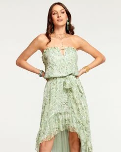 Ramy Brook Printed Neve Strapless Maxi Dress All New Arrivals